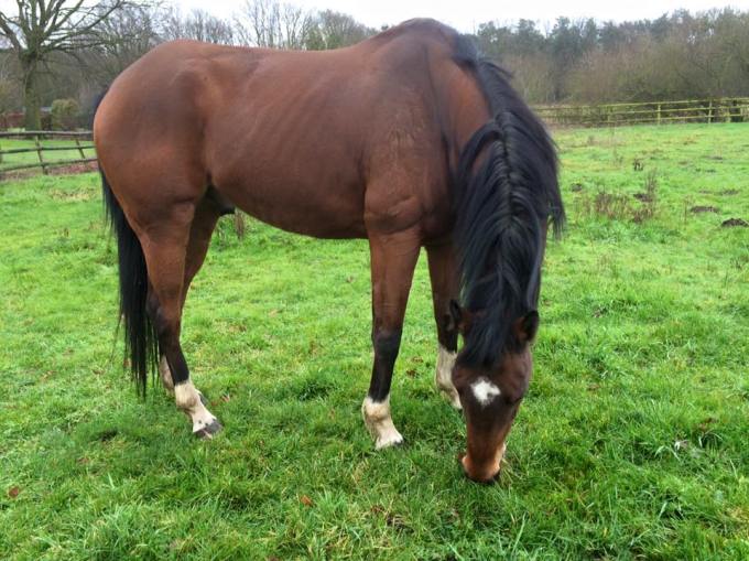 12592544_10206382787063112_4154002007607024066_n