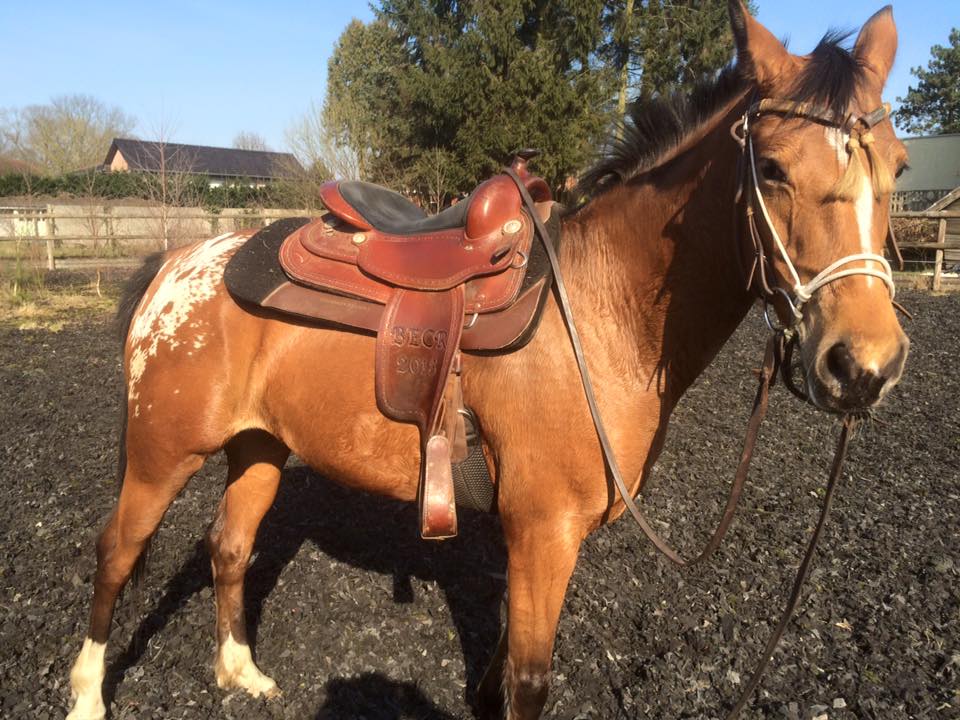 12801370_10206596596128205_817290506572934005_n