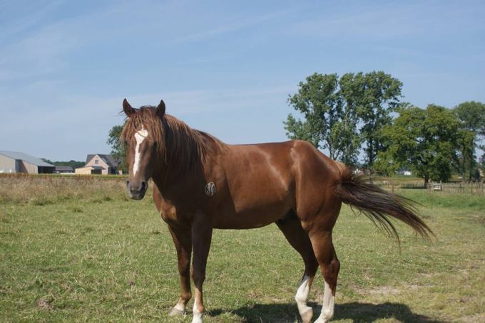 13912392_1249028051788076_3318023470355622635_n