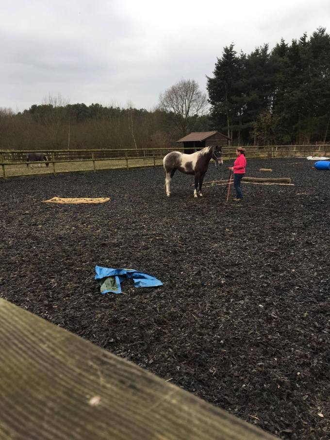 17431641_10212373052543000_1925083871_o