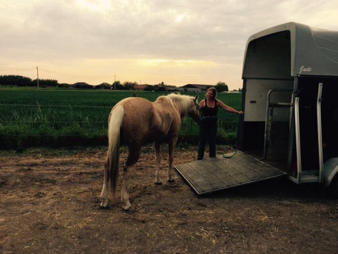 18813820_1999783720241438_39266548053155872_nn