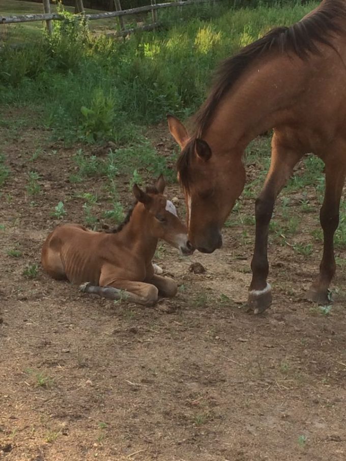 19427610_10210641787055450_695330893_n